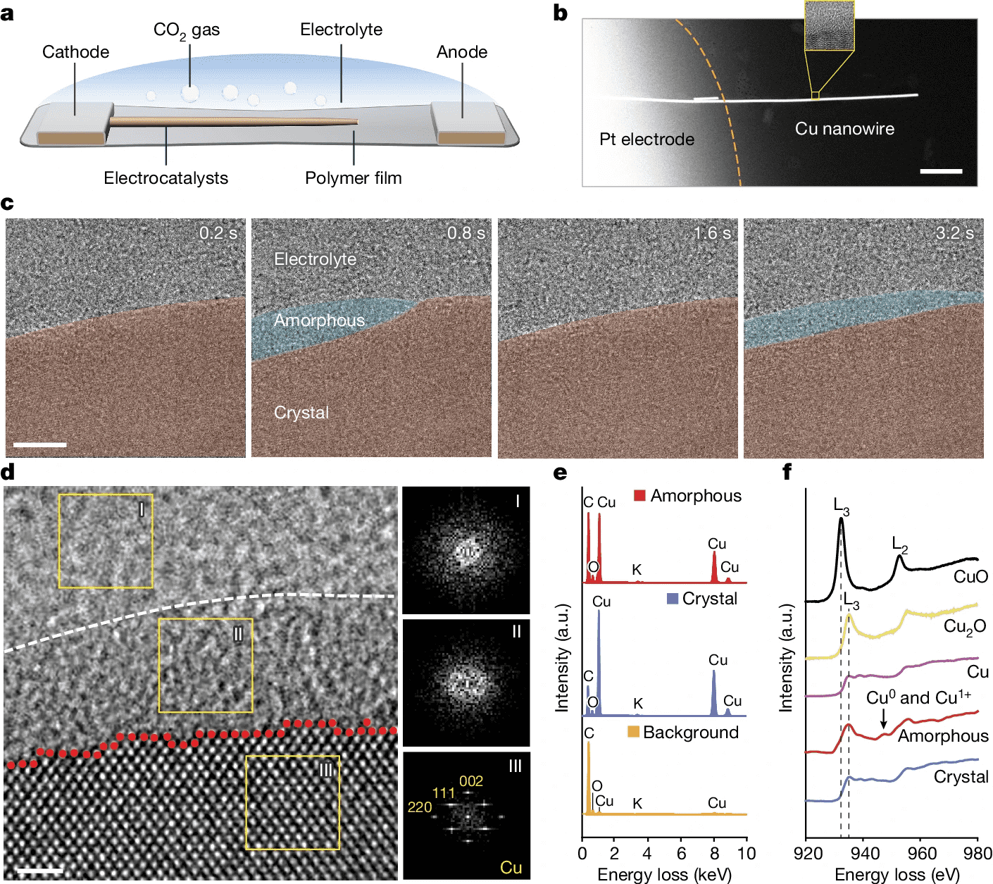 Nature Liquid Cell Paper